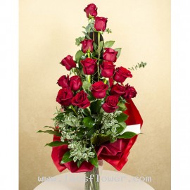17 Red Roses